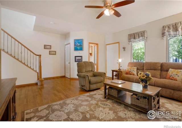 living room with ceiling fan and light wood-type flooring