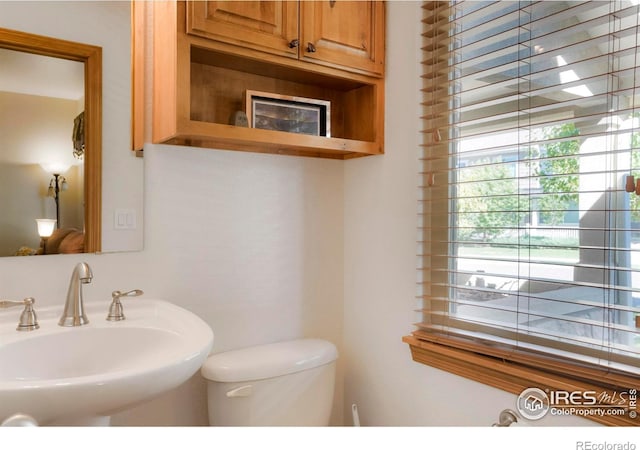 bathroom with sink and toilet