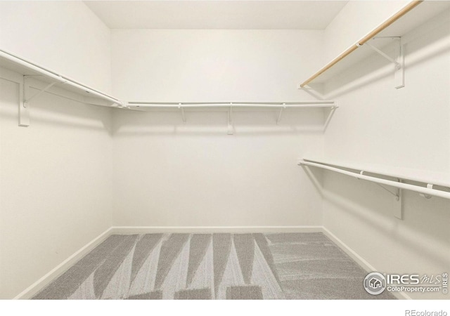 walk in closet featuring carpet flooring