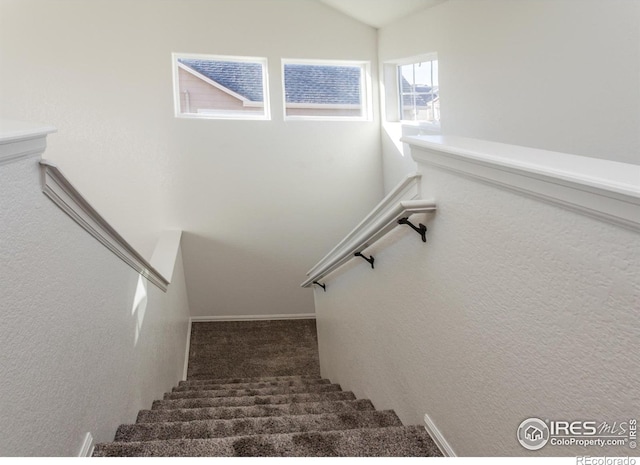 stairs featuring carpet