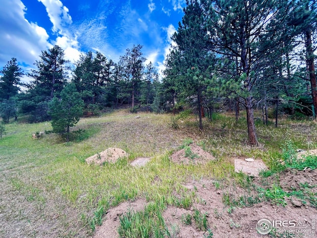 211 Streamside Dr, Glen Haven CO, 80532 land for sale