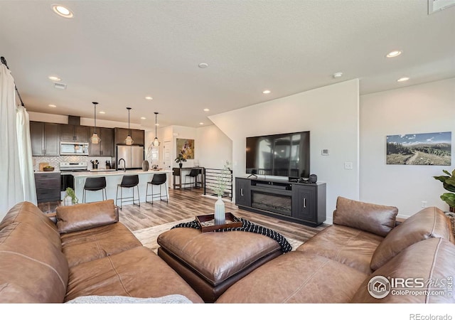 living room with sink and light hardwood / wood-style floors