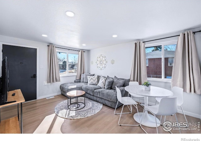 living room with light hardwood / wood-style flooring