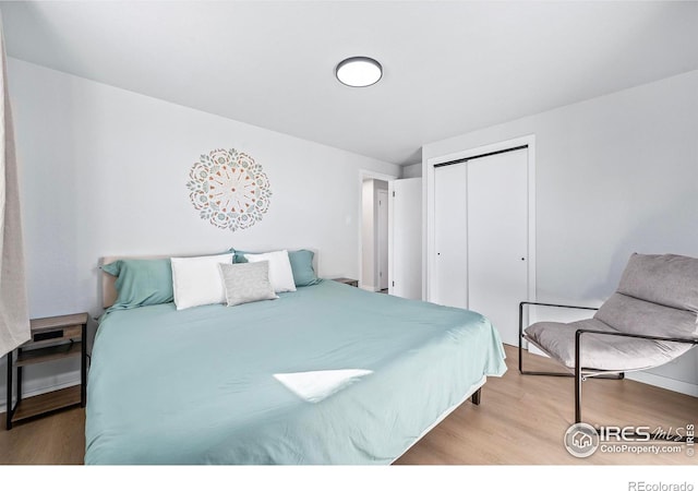 bedroom featuring a closet and hardwood / wood-style floors