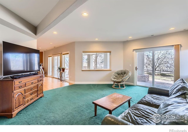 carpeted living room with plenty of natural light