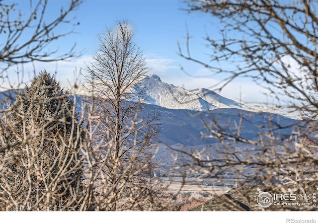 view of mountain feature