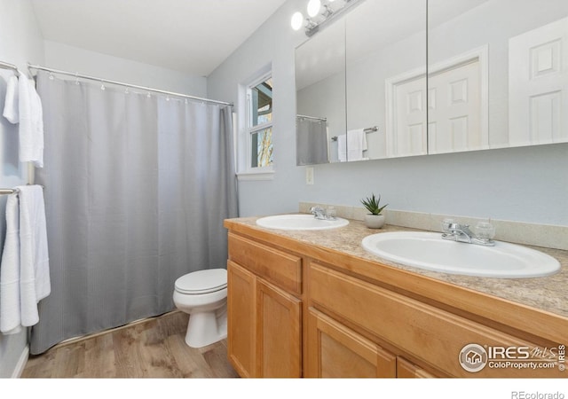 bathroom featuring toilet, vanity, and wood-type flooring