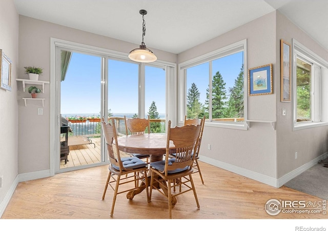 dining space featuring a water view and light wood-type flooring