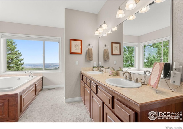 bathroom with vanity, plenty of natural light, and a washtub