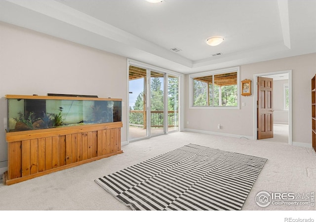 living room featuring light colored carpet and a raised ceiling