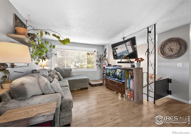 living room with wood-type flooring and a textured ceiling