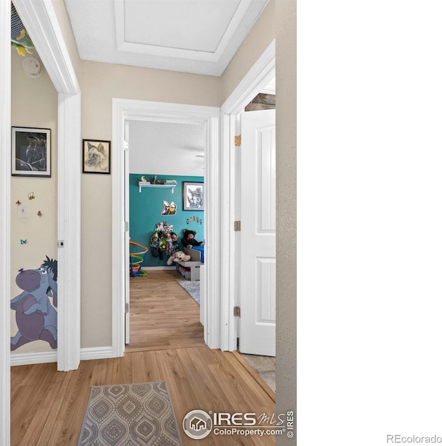 hallway with light hardwood / wood-style flooring