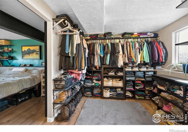 walk in closet with wood-type flooring