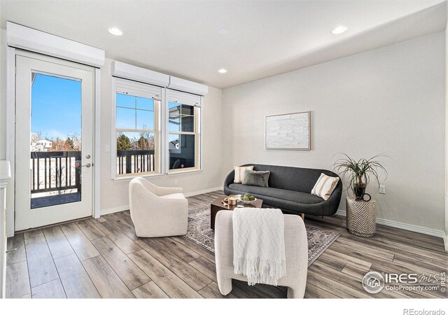 living room with hardwood / wood-style flooring