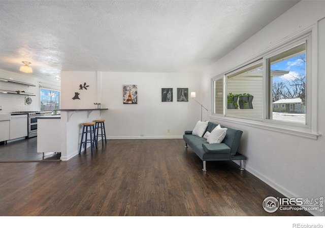 living area featuring dark wood-type flooring and a textured ceiling