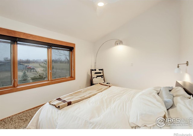 bedroom featuring lofted ceiling