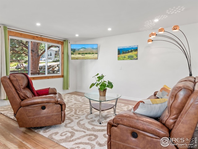 living room with light hardwood / wood-style flooring