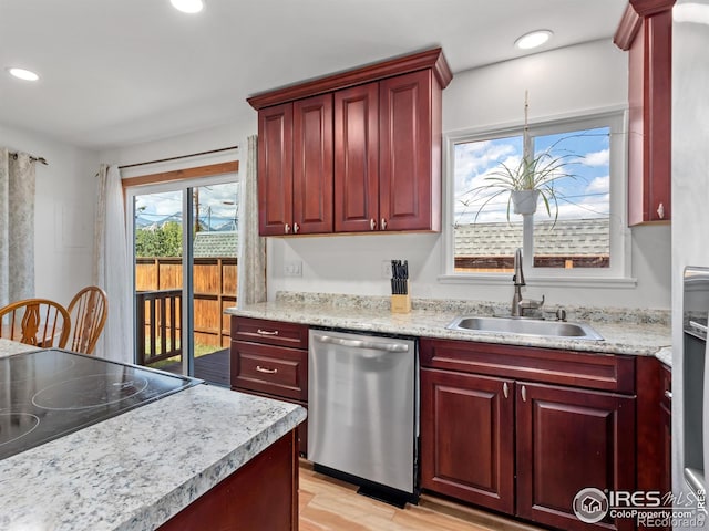 kitchen featuring sink, stainless steel dishwasher, and light hardwood / wood-style floors