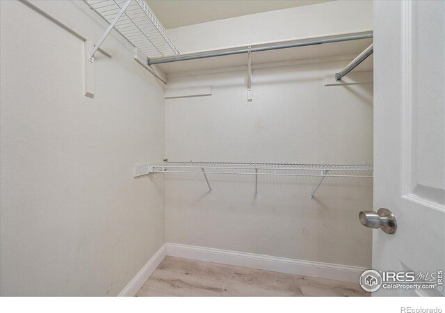 770 Copper Ln Unit 206, Louisville, CO 80027 - walk in closet with light hardwood / wood-style flooring