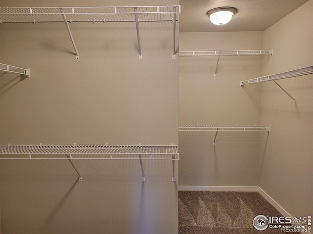 5621 Segundo Dr, Loveland, CO 80538 - photo 15