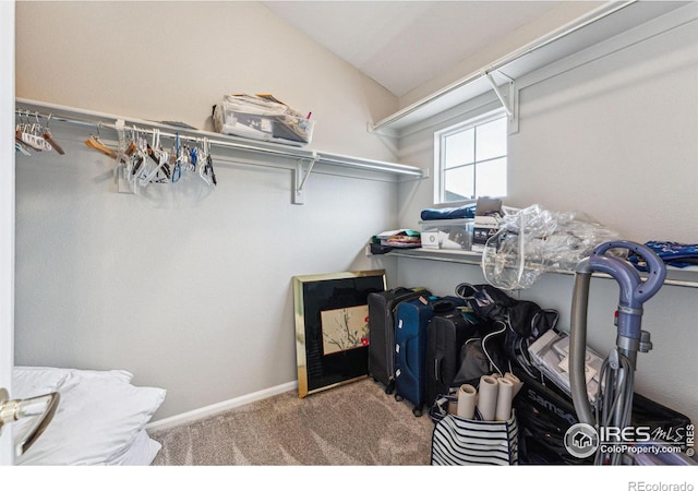 walk in closet featuring carpet