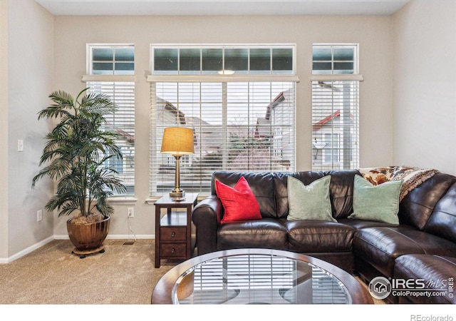 view of carpeted living room