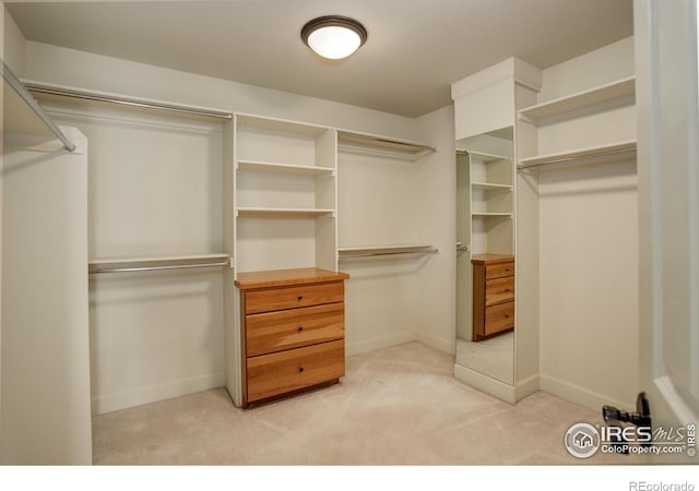 spacious closet featuring light carpet