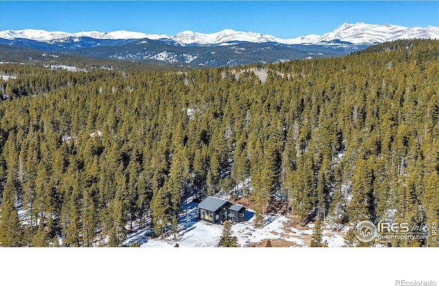 drone / aerial view featuring a mountain view