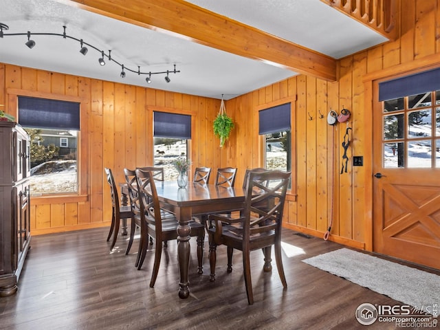 dining area with track lighting, a wealth of natural light, and dark wood-type flooring