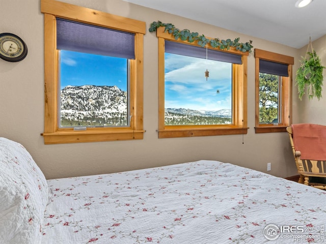 bedroom featuring a mountain view