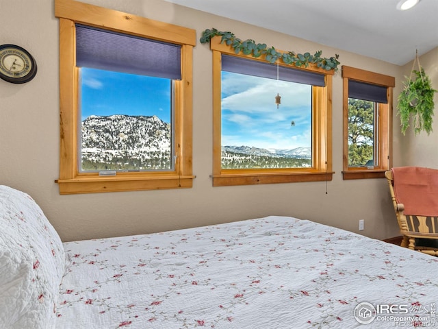 609 Whispering Pines Dr, Estes Park, CO 80517 - photo 27