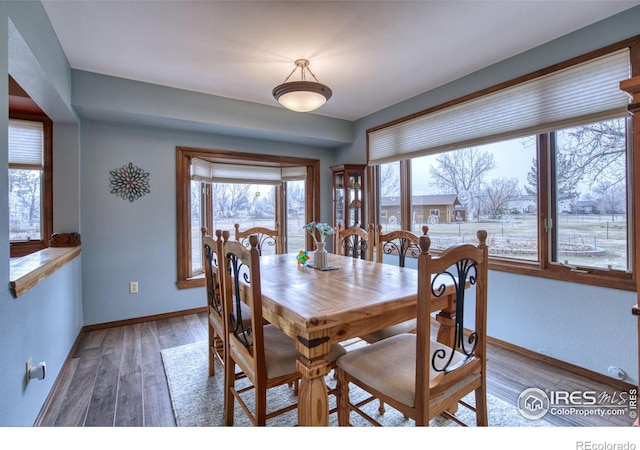 dining room featuring hardwood / wood-style flooring