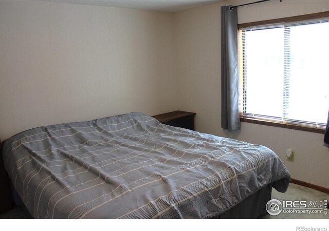 view of carpeted bedroom