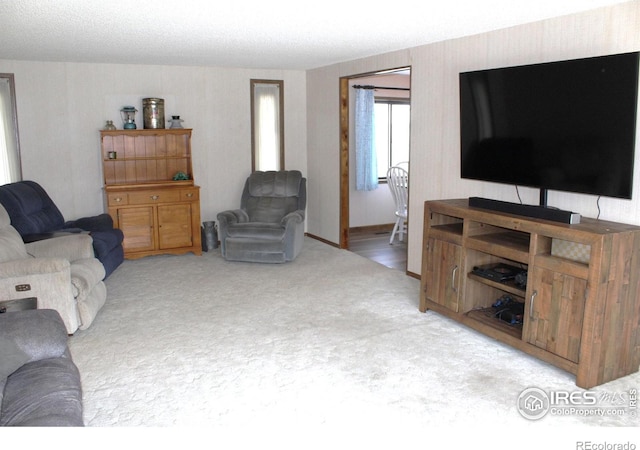 living room with light carpet