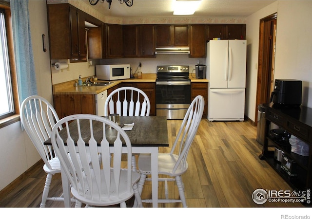 kitchen with dark brown cabinetry, a sink, ventilation hood, white appliances, and light wood-style flooring