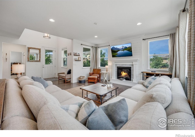 living room with wood-type flooring