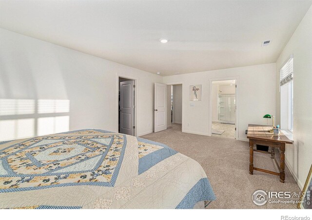 439 Bluebird Rd, Johnstown, CO 80534 - photo 22