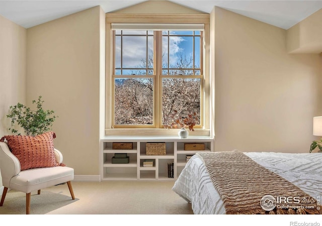 6345 Swallow Ln, Boulder, CO 80303 - photo 21