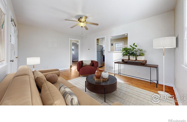 living room featuring ceiling fan and light hardwood / wood-style floors