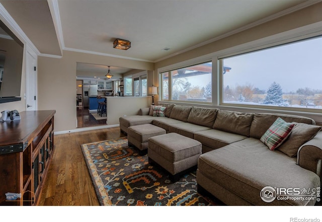 living room featuring dark hardwood / wood-style floors and ornamental molding