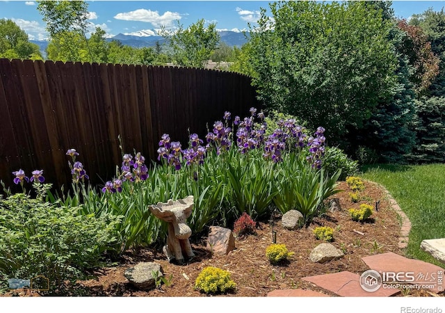 view of yard featuring a mountain view