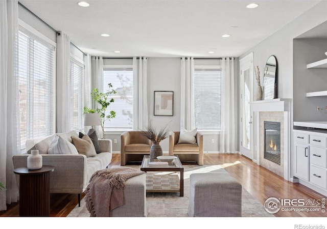 living room featuring a fireplace, light wood-type flooring, and plenty of natural light