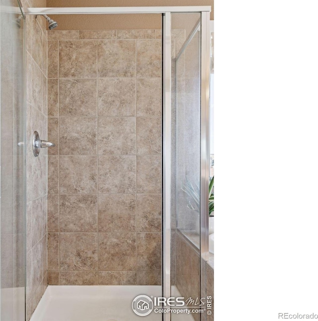 bathroom featuring a shower with shower door