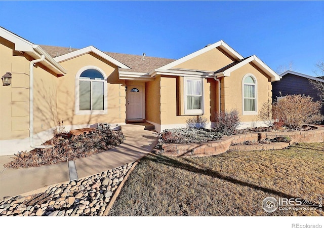 ranch-style house featuring a front yard