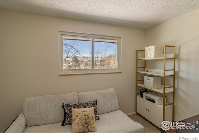 living area with a textured ceiling, baseboards, and carpet floors