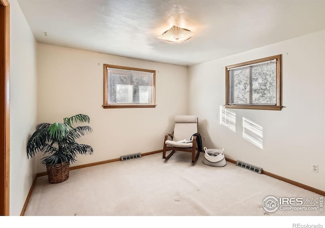 sitting room with carpet