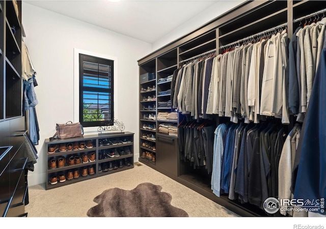 spacious closet featuring carpet flooring