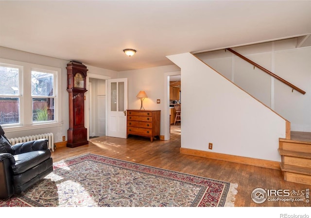 living room with dark wood-type flooring and radiator heating unit