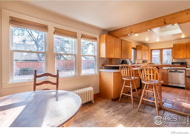 kitchen featuring dishwasher, radiator heating unit, and a healthy amount of sunlight