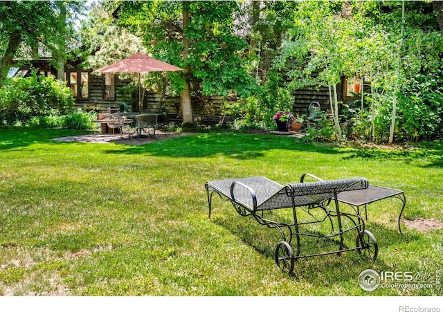 view of yard with a patio